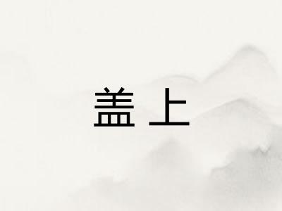 盖上 盖上