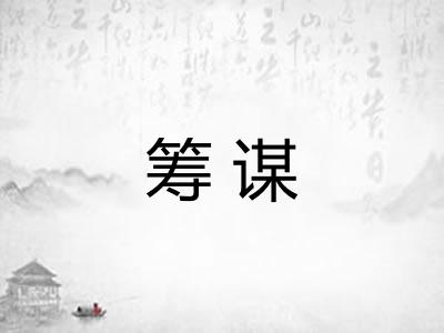 筹谋 筹谋