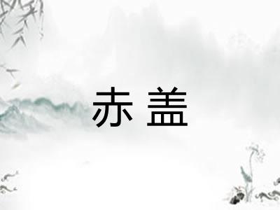 赤盖 赤盖