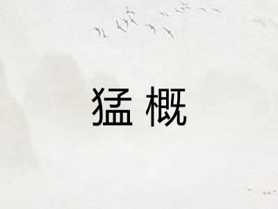 猛概