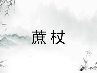 蔗杖 蔗杖