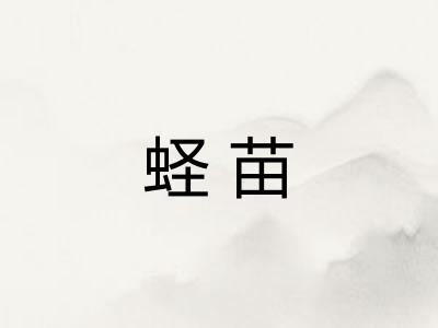 蛏苗