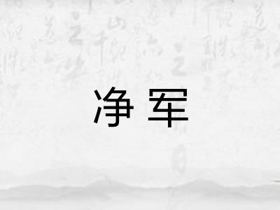净军 净军