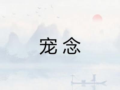 宠念