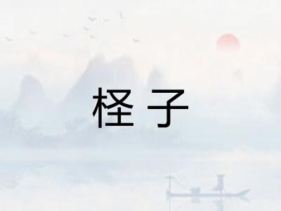 柽子 柽子