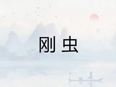 刚虫 刚虫