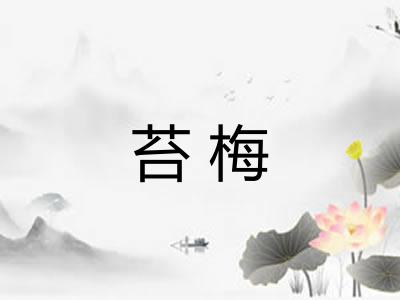 苔梅 苔梅