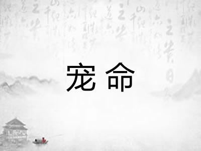 宠命 宠命