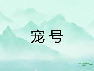 宠号