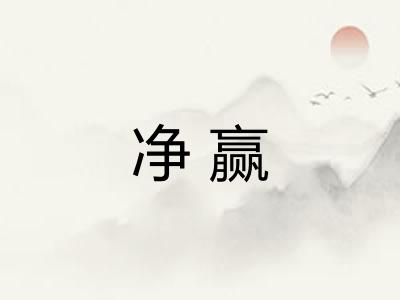 净赢 净赢
