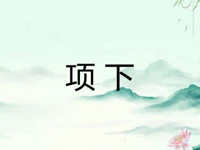 项下 项下