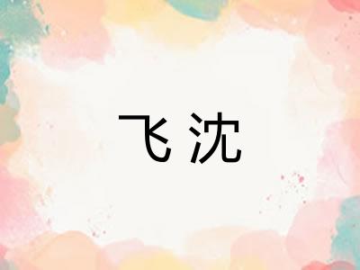飞沈