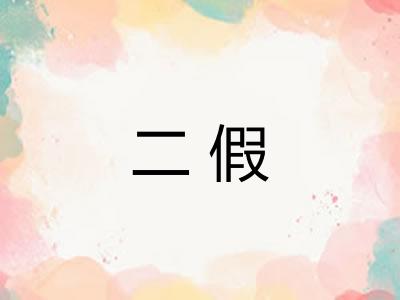 二假 二假