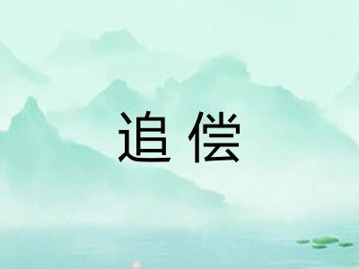 追偿