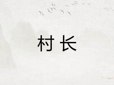 村长 村长