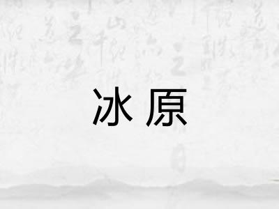 冰原 冰原