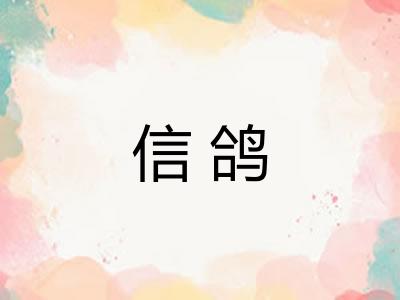信鸽