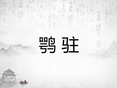 鹗驻