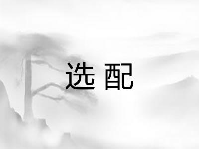 选配 选配