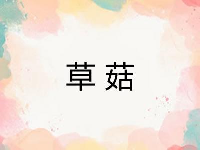 草菇 草菇