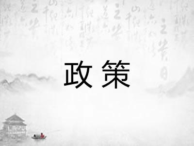 政策