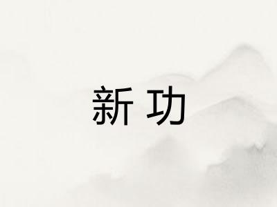 新功