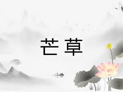 芒草 芒草