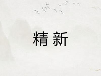 精新 精新