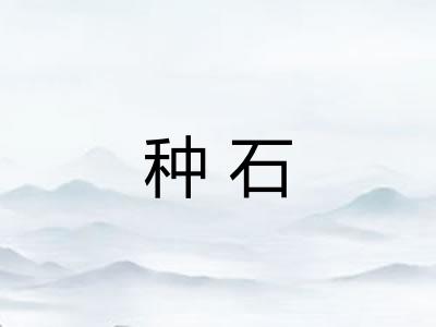 种石