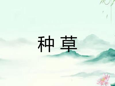 种草 种草