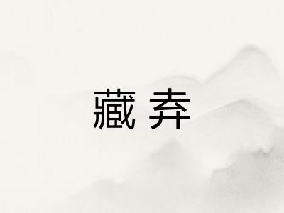 藏弆
