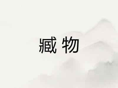 臧物