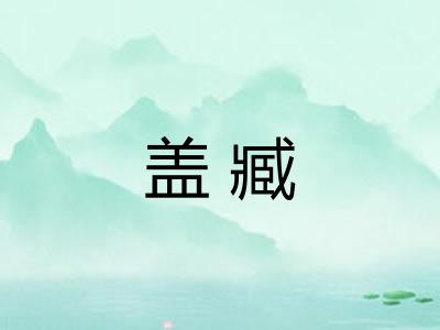 盖臧 盖臧