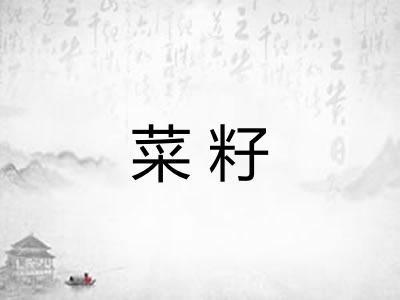 菜籽 菜籽