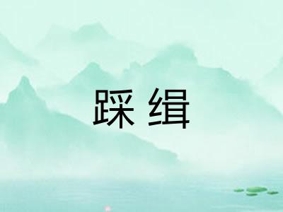 踩缉 踩缉