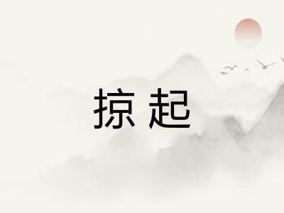 掠起 掠起