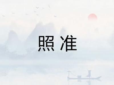 照准 照准