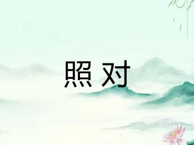 照对 照对