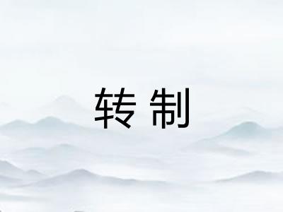 转制