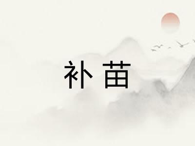 补苗 补苗