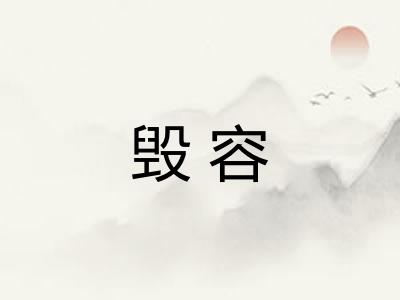 毁容 毁容