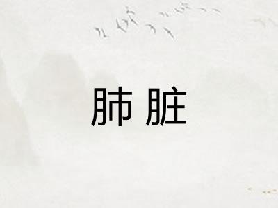 肺脏