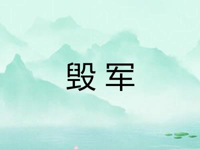 毁军 毁军