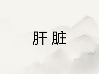 肝脏