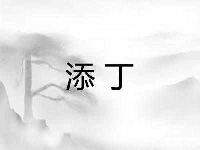 添丁 添丁