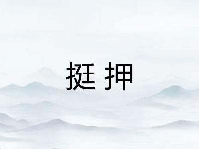挺押 挺押