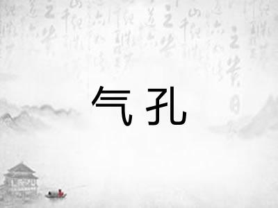 气孔 气孔