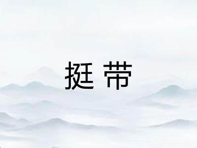 挺带