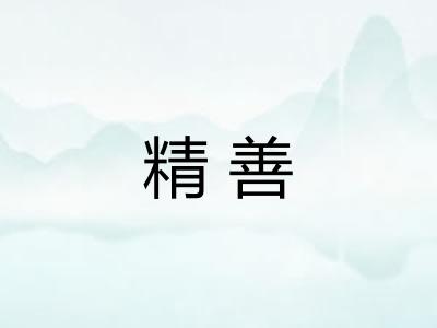 精善 精善