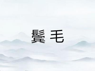 鬓毛